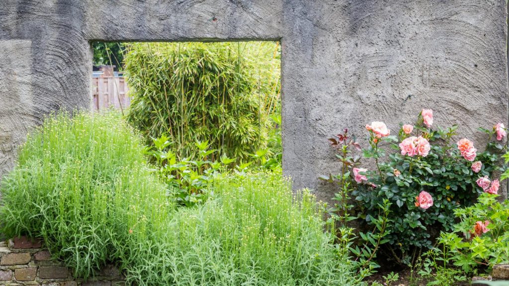 Come pulire i muri del giardino?