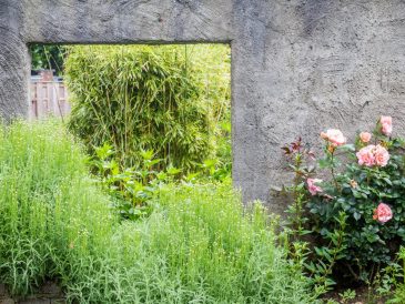 Come pulire i muri del giardino?