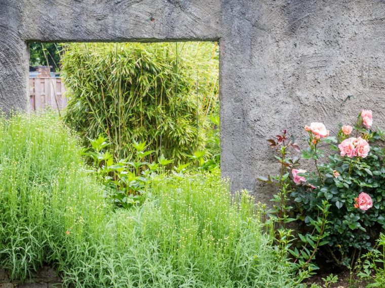 Come pulire i muri del giardino?