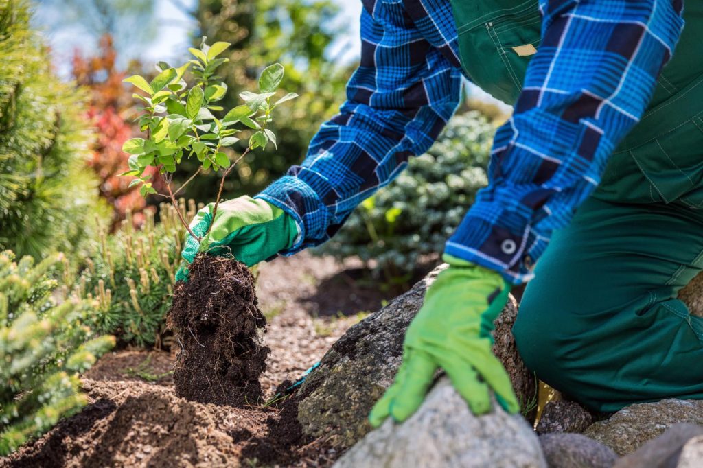 Come sistemare il giardino di casa?