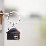 Come allontanare i gatti dal giardino? Tecniche infallibili per proteggere le tue piante!