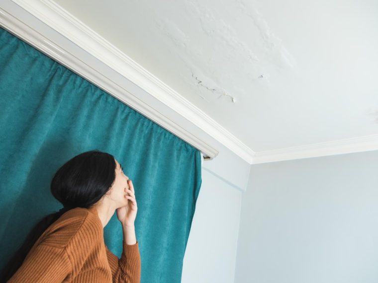 Perché si forma la muffa in casa